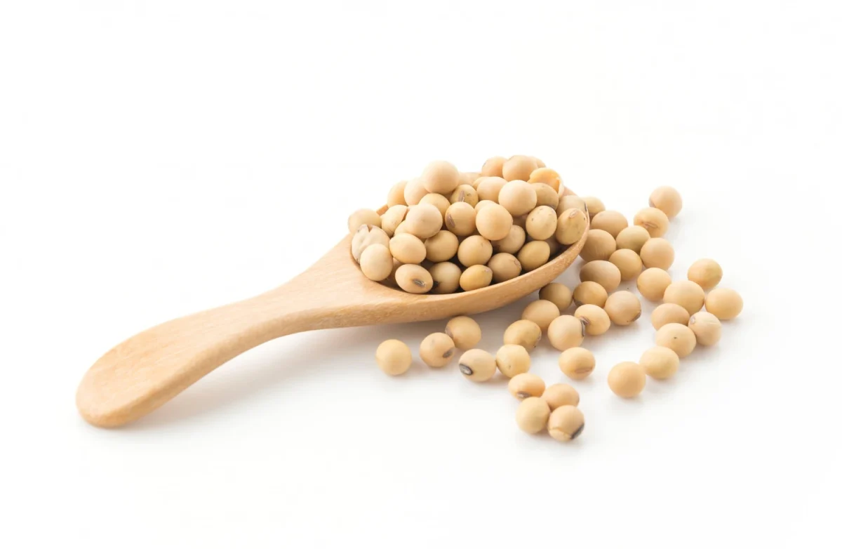 224-1200x782.webp